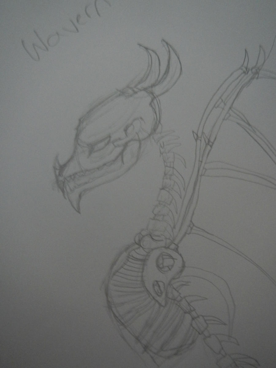 Wyvern Skeleton