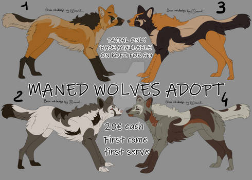 Maned Wolves 1-4