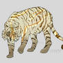 Tiger adopt OPEN