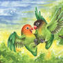 Lovebirds ACEO