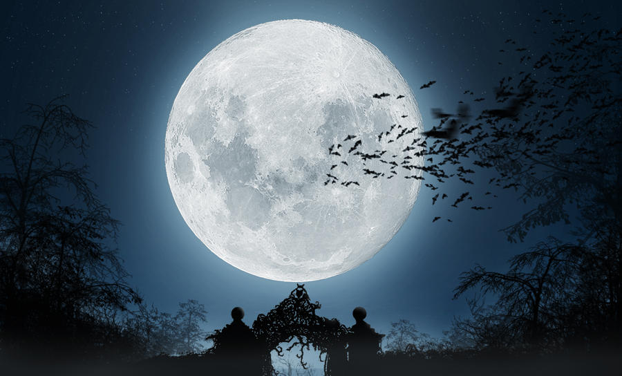 Слушать песни лунная ночь. Иллюстрация к пьесе лунный свет Дебюсси. «Лунный свет» к. Дебюсси, элюстрации. Иллюстрация к пьесе лунный свет Клода Дебюсси.