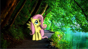 Fluttershy in the Forest [PIRL]