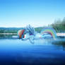 Rainbow dashing over a lake [PIRL]