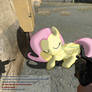 Fluttershy in ARMA II [PIVG]