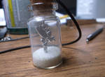 Fairy in a bottle necklace by godofwarlover
