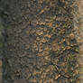 dried ground texture