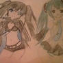 Hatsune miku and black rock shooter