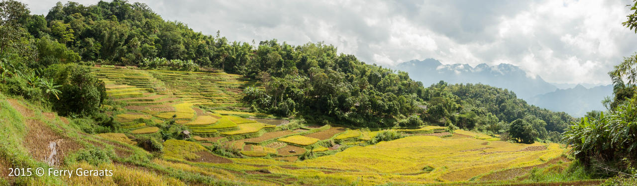 The bueatifull view of Mai Chau Vietnam