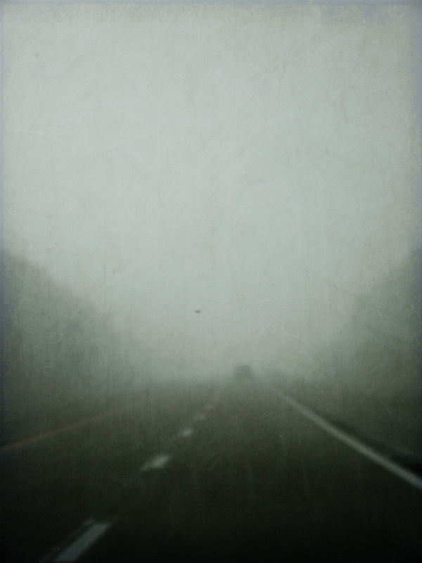 The Fog