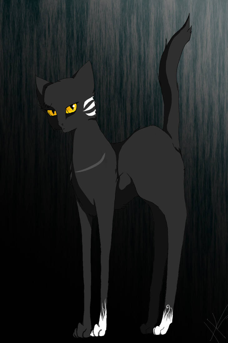 Dtk Cat Dtk Remake by Hollyleaf13 on DeviantArt