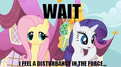 Rarity has the force