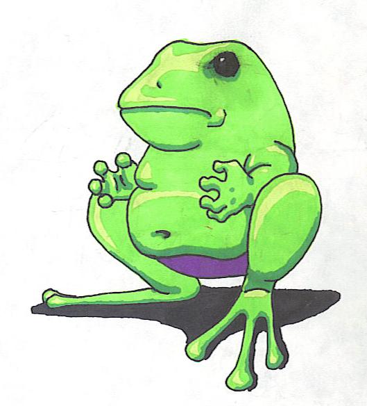 The Sumo Frog