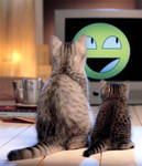 The Happy Channel by WallpaperMania