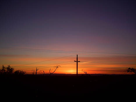 Pretty from the Porch