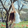 Dance of spring 02