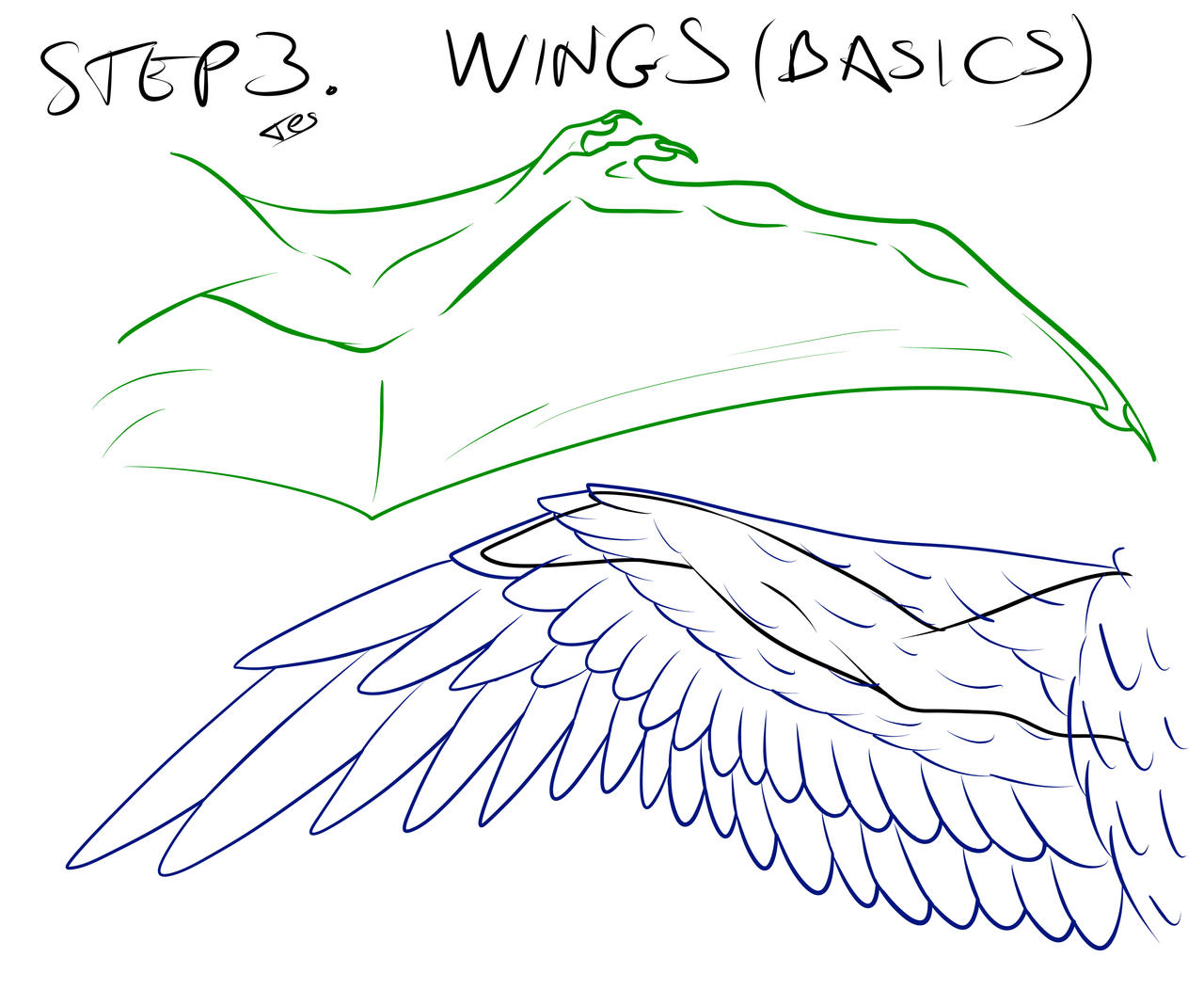 Wing Basic Lines Simple Tutorial 3: wings (basic types) by Tes92 on DeviantArt