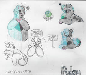 The Cyan Spider Leech...Pudgy