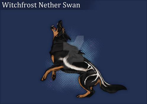 Witchfrost Nether Swan