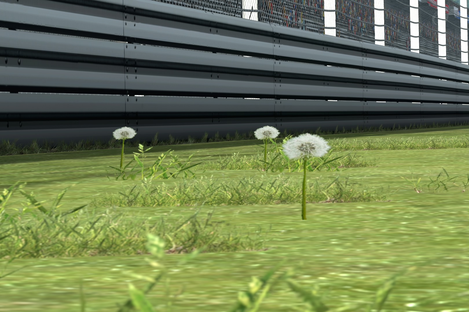 GT5 Dandilions!