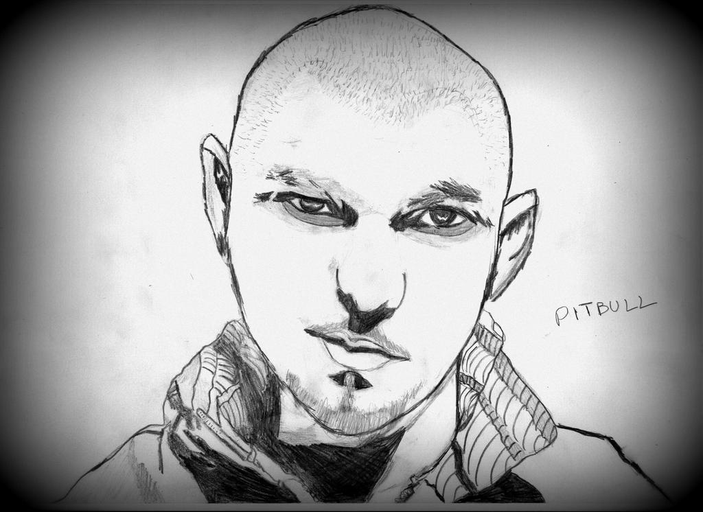 Pitbull by PrabhuRaja on DeviantArt