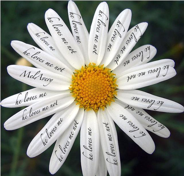 He loves me not. by MelAvery on DeviantArt