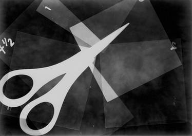 Contrasting Objects photogram