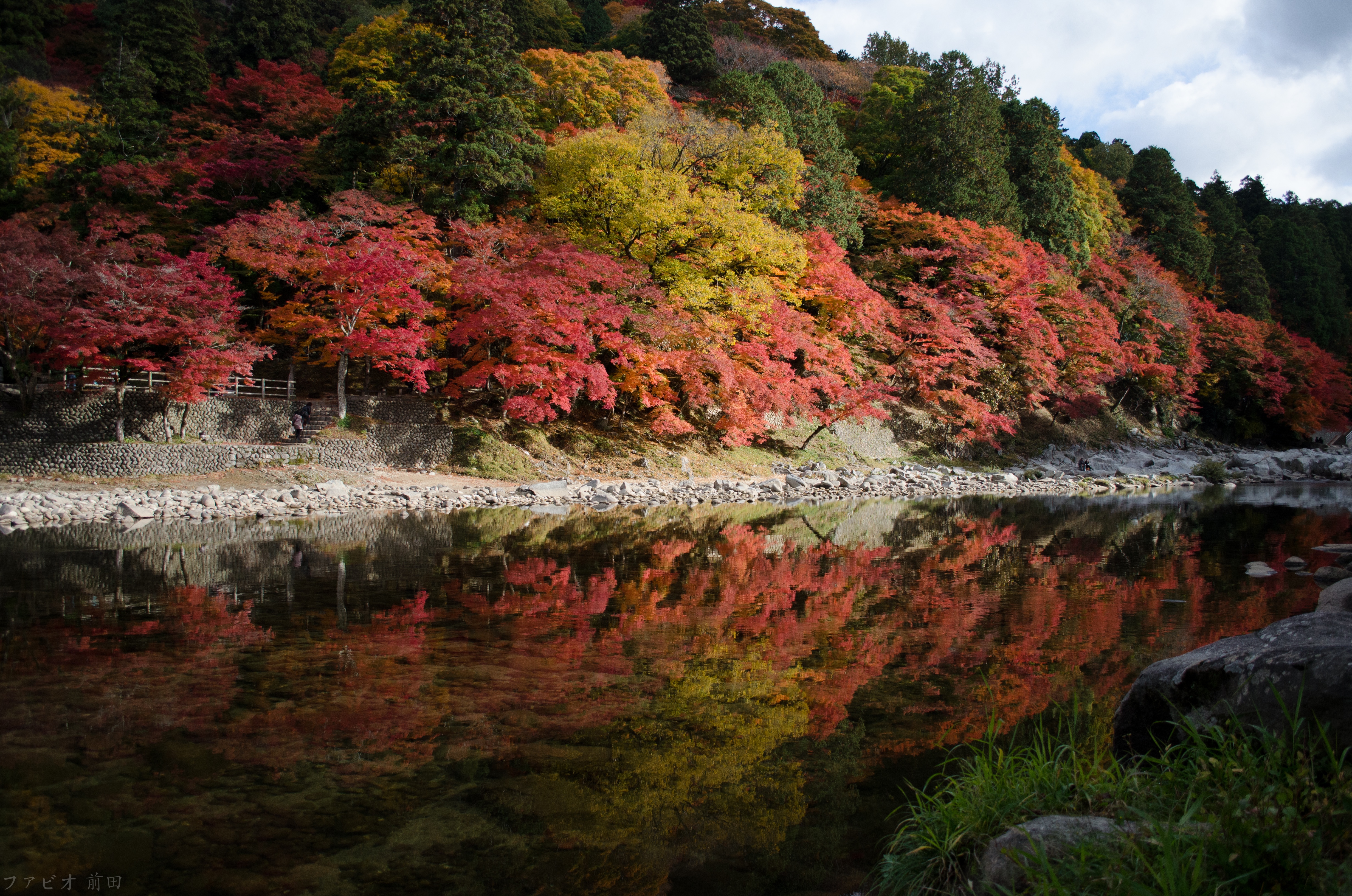 Autumn colors