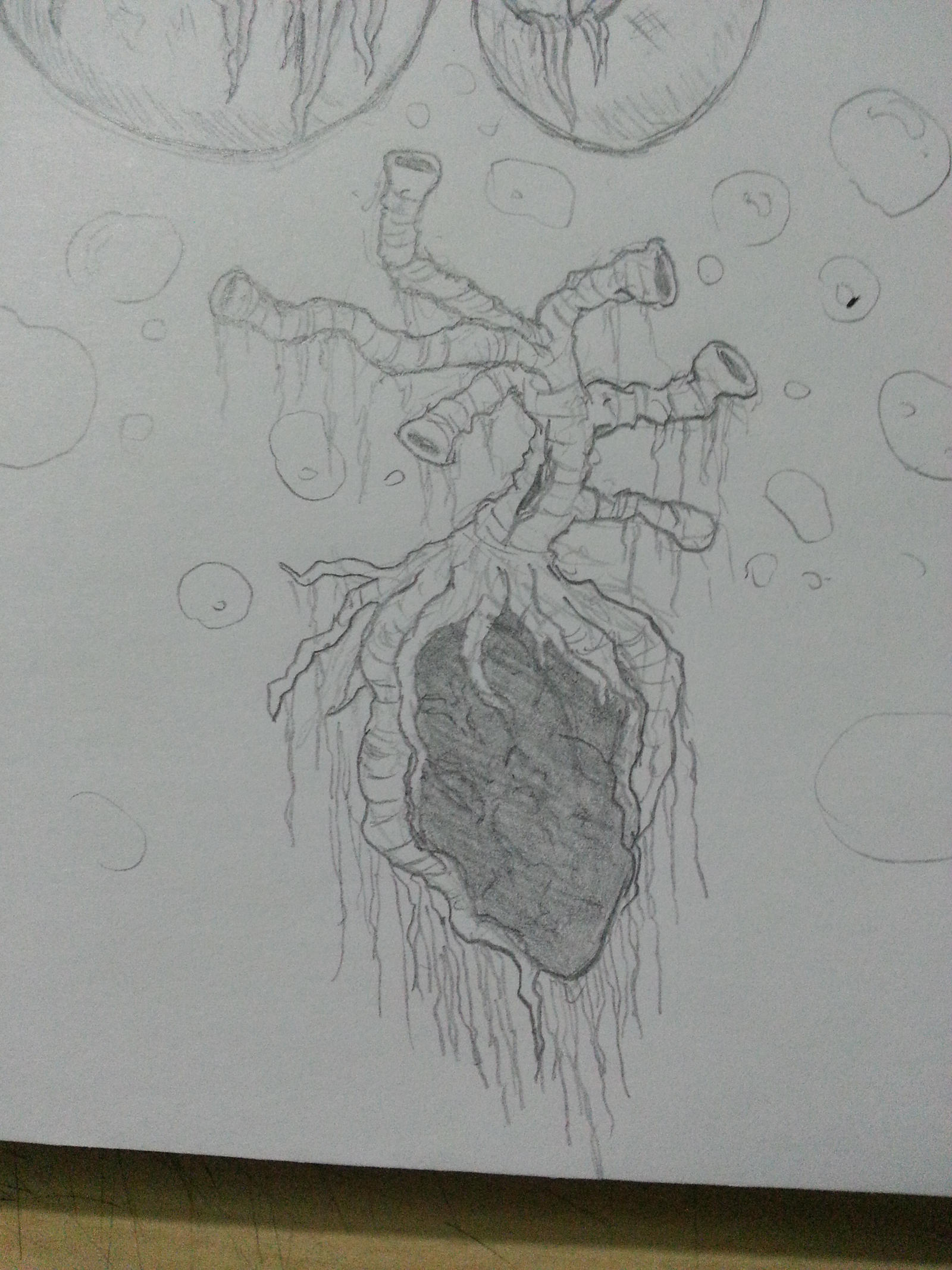 Swamp Coral Heart