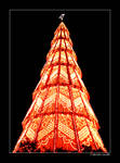 europe biggest christmas tree by janado