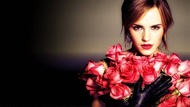 Emma Watson Rose By Night