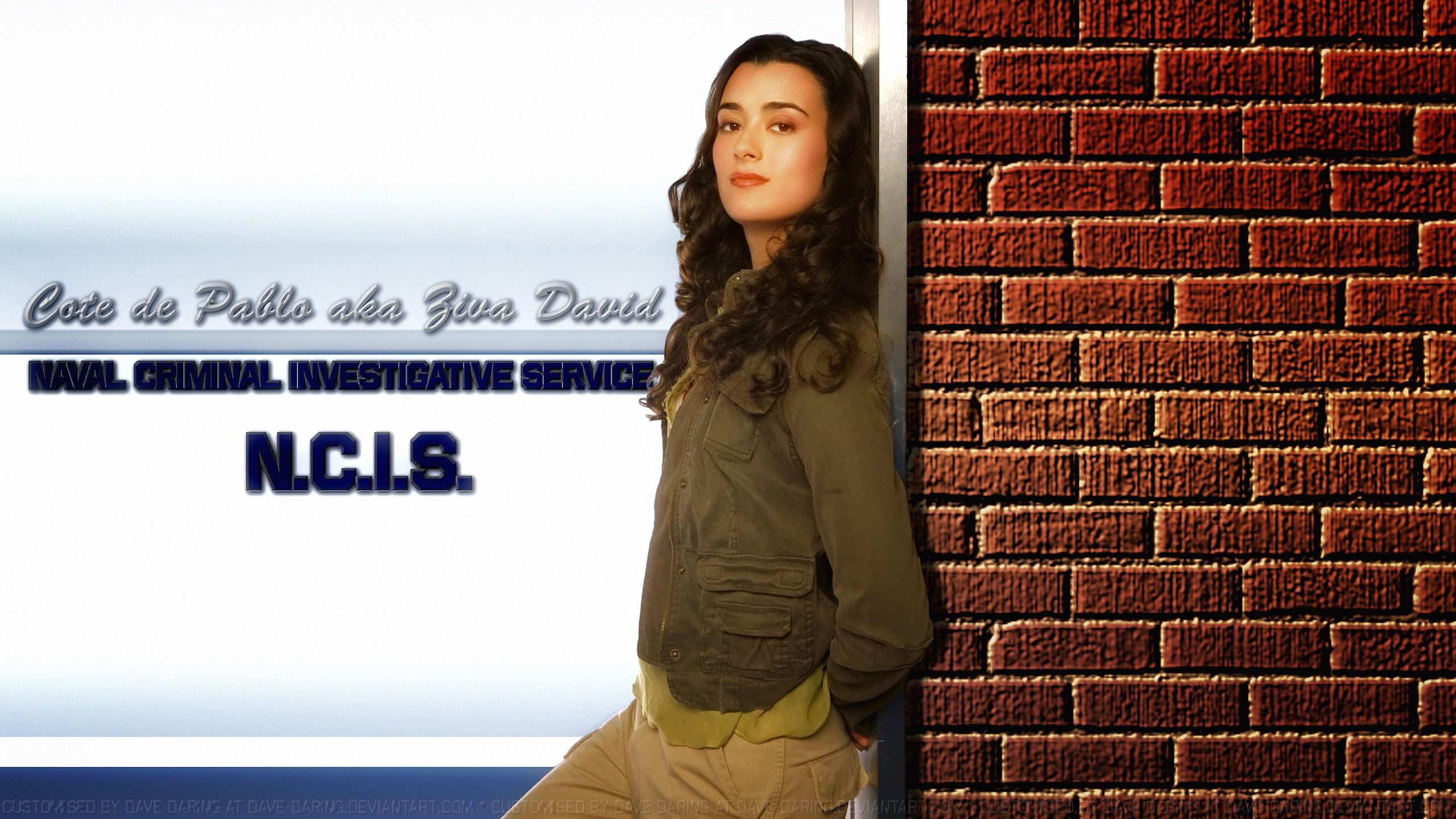 Cote De Pablo Ziva David Special Agent VI