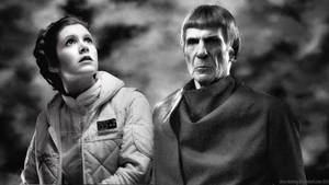 Take care of the Princess Mr. Spock
