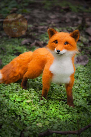 Fox felt sculpture, Fox named Finn 4 by Lyntoys