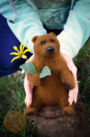 Bear named Myron by Lyntoys Bear named Myron by Lyntoys