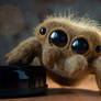 CUTE JUMPING SPIDER Needle Felted