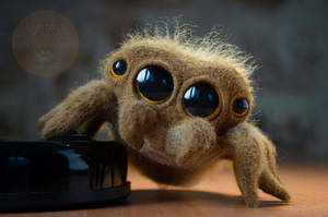 CUTE JUMPING SPIDER Needle Felted
