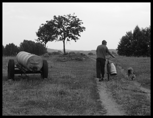 a man and his dog