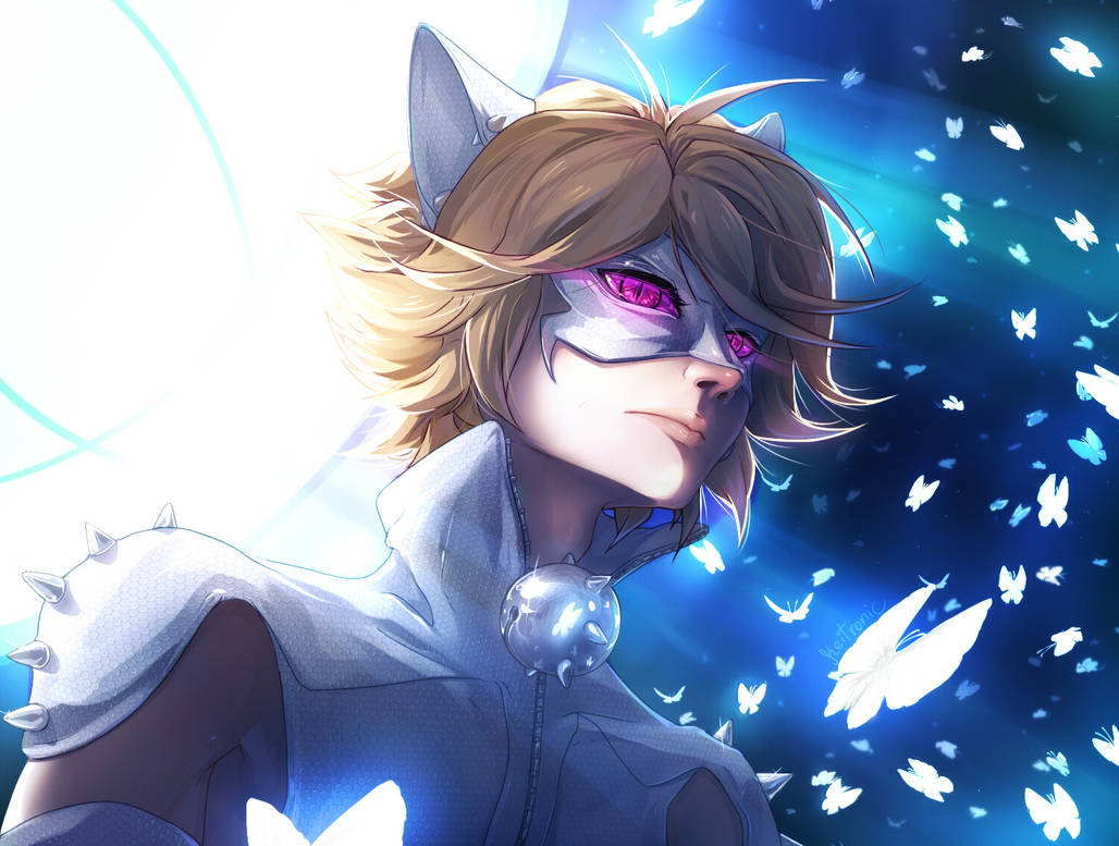 Resultado de imagem para chat blanc