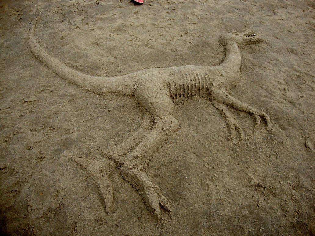 Sand Raptor by JellyN8TR on DeviantArt