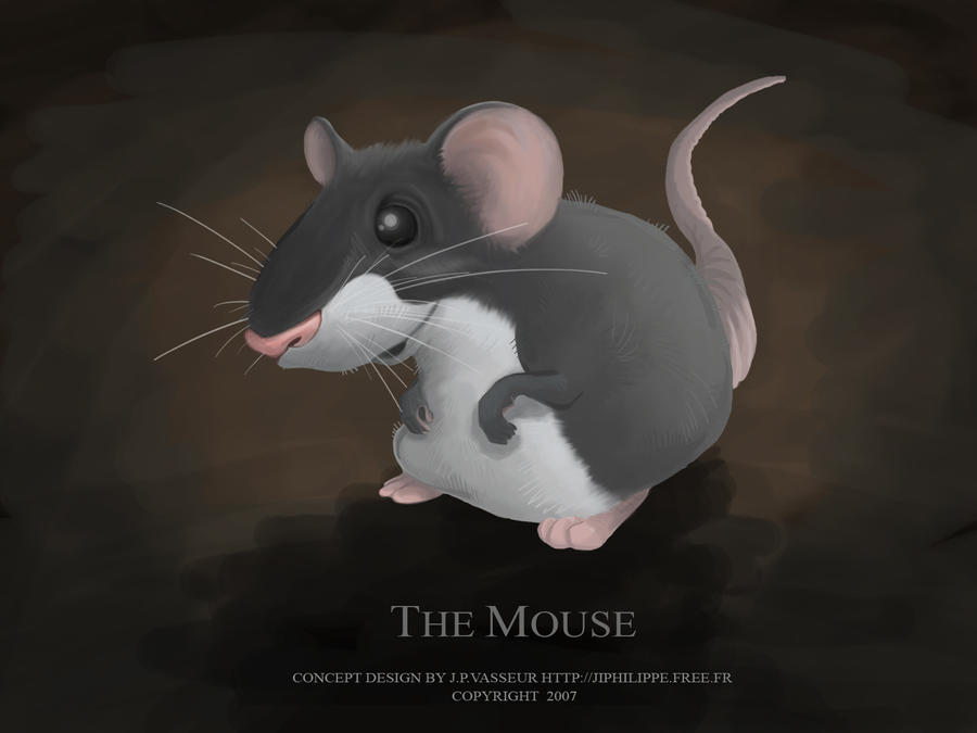 Mouse Deviantart the mouse by jipandcie on DeviantArt