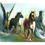 Equus Elementus