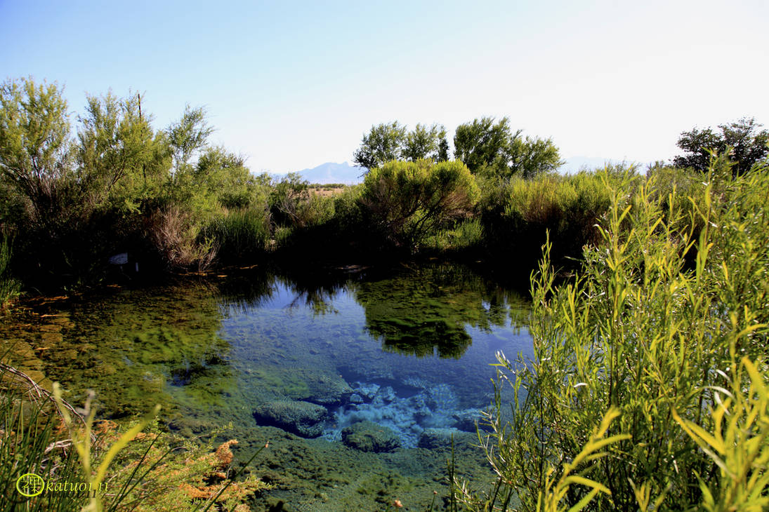 Ash Springs by katu01 on DeviantArt