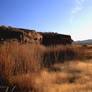 Autumn Meadow I