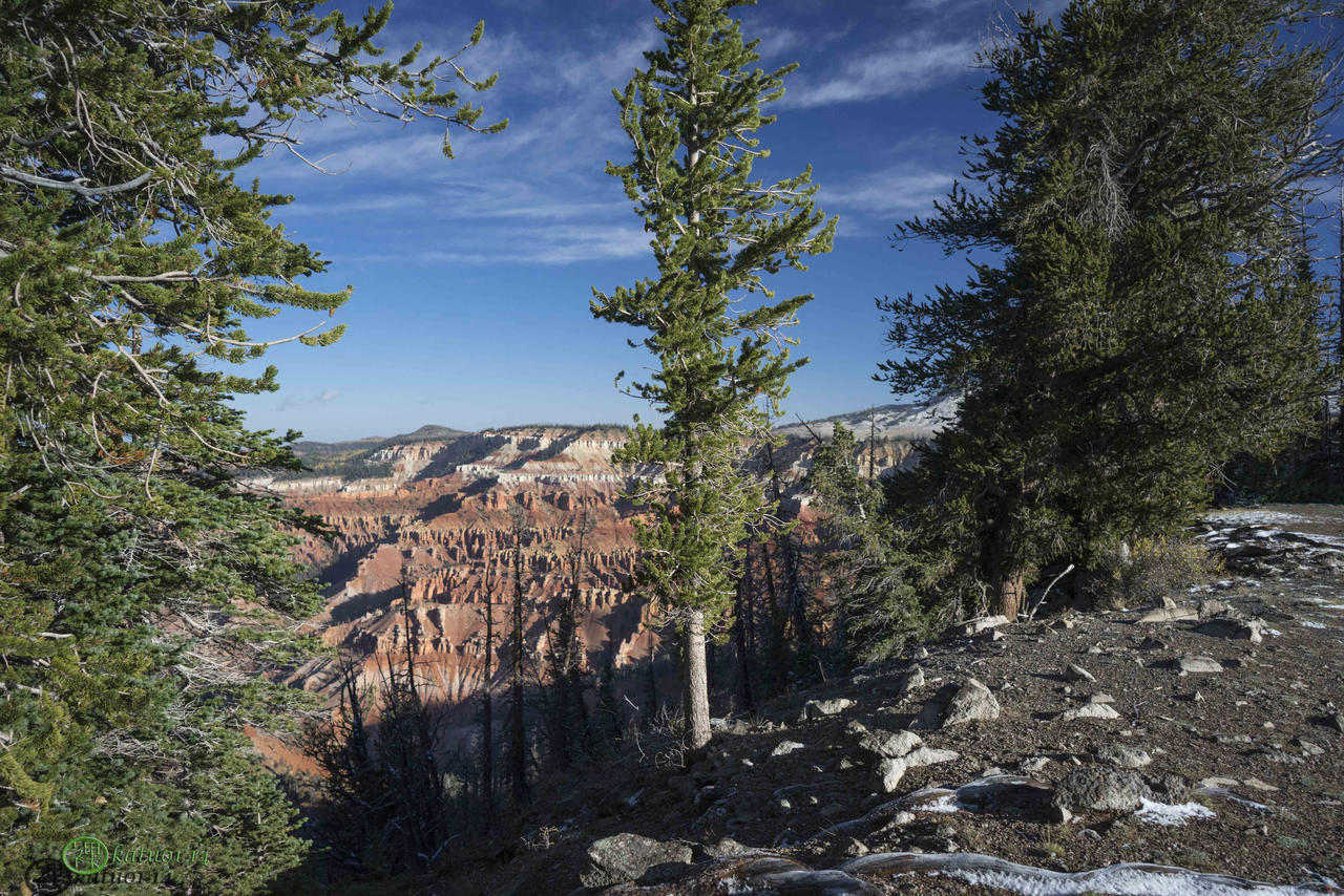 Cedar Breaks, Utah