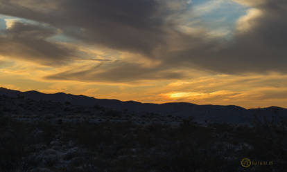 Sundog Sunset