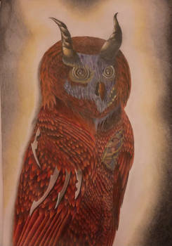 Phoenix owl