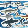 'Beasts of Bygone Times' - Sharks (1)