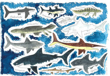 'Beasts of Bygone Times' - Sharks (1)