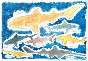 'Beasts of Bygone Times' - Sharks (2)