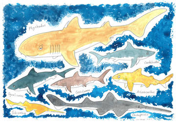 'Beasts of Bygone Times' - Sharks (2)